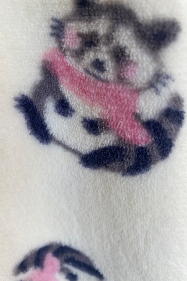 Dreamy Raccoon  Applique Fleece PJ Set